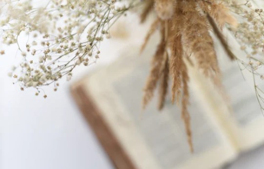 WhatsApp Image 2020-06-26 at 12.56.03 (1)